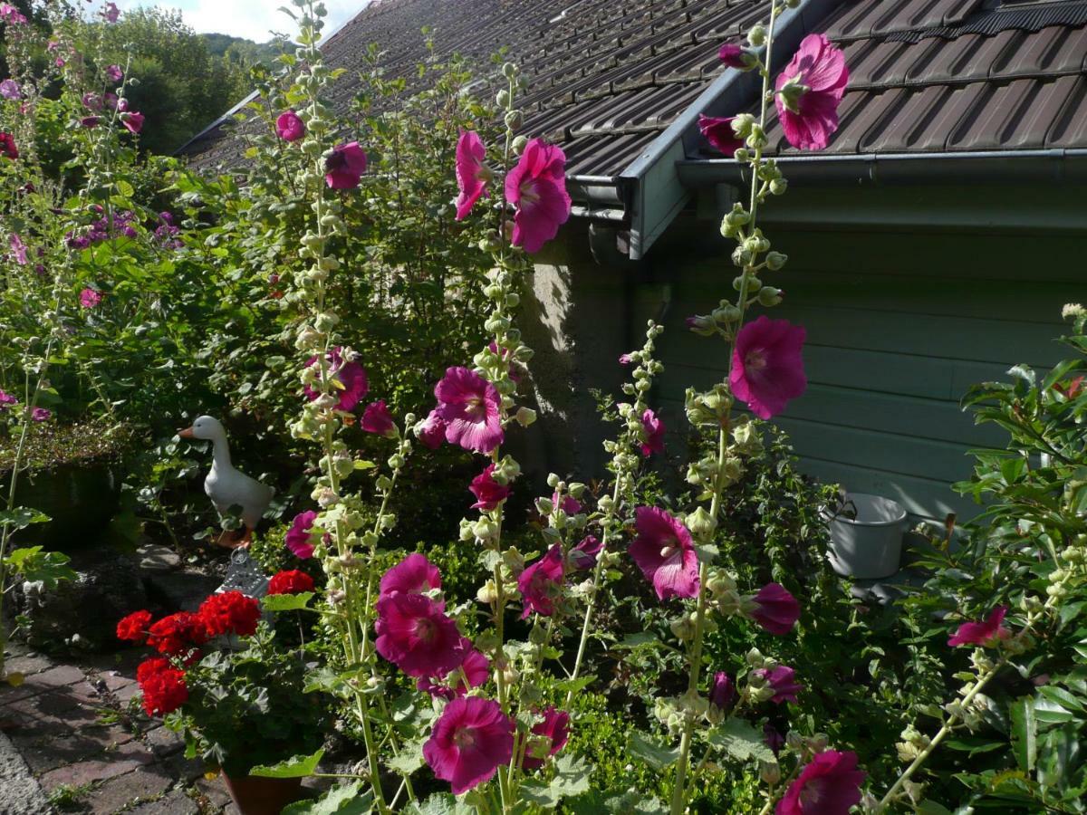 Bed and Breakfast Roulotte La Dominique Romery  Exterior foto